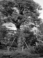 武进注册公司